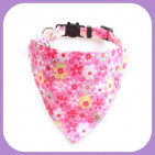 Collar-036